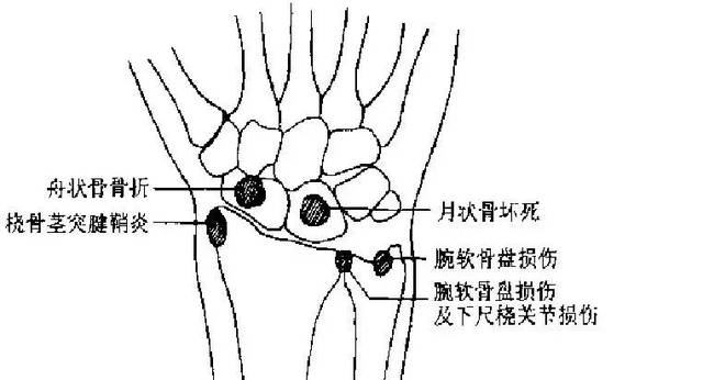 威尼斯wns·8885556