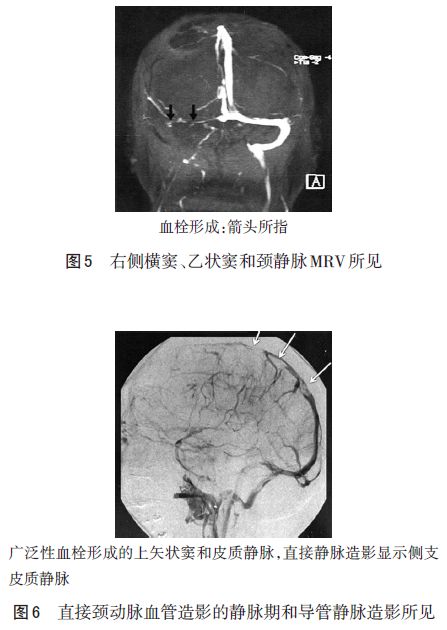 威尼斯wns·8885556